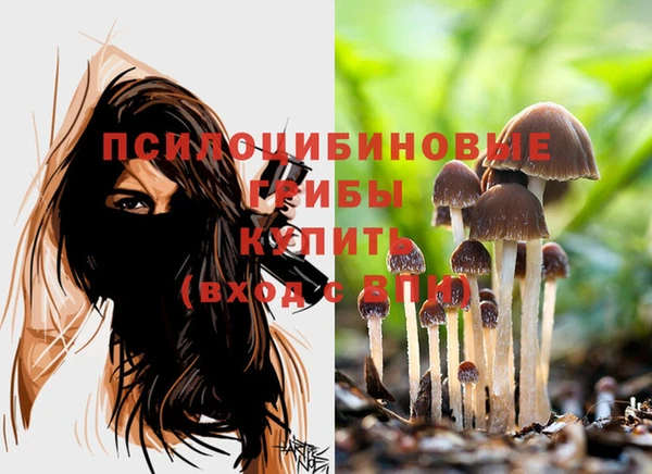 шишки Алзамай