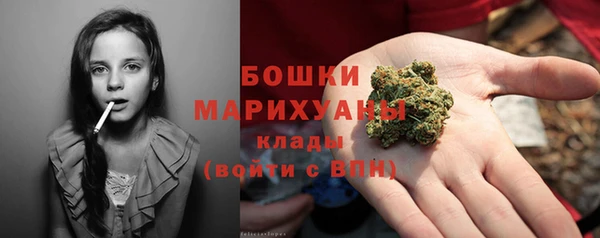 ГАЛЛЮЦИНОГЕННЫЕ ГРИБЫ Армянск