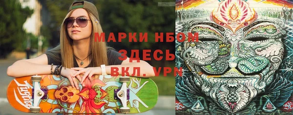 молекула духа Алексин