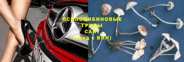 молекула духа Алексин