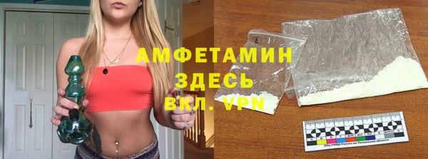 шишки Алзамай