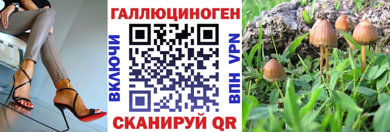 Псилоцибиновые грибы Psilocybe  Звенигово 
